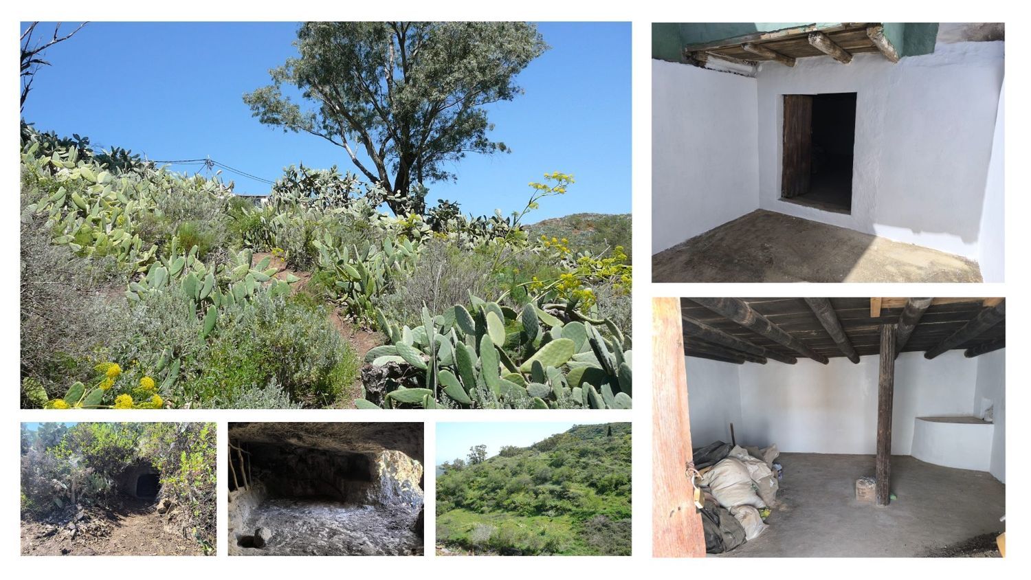 Terrenos en Vega de San Mateo — imagen 1