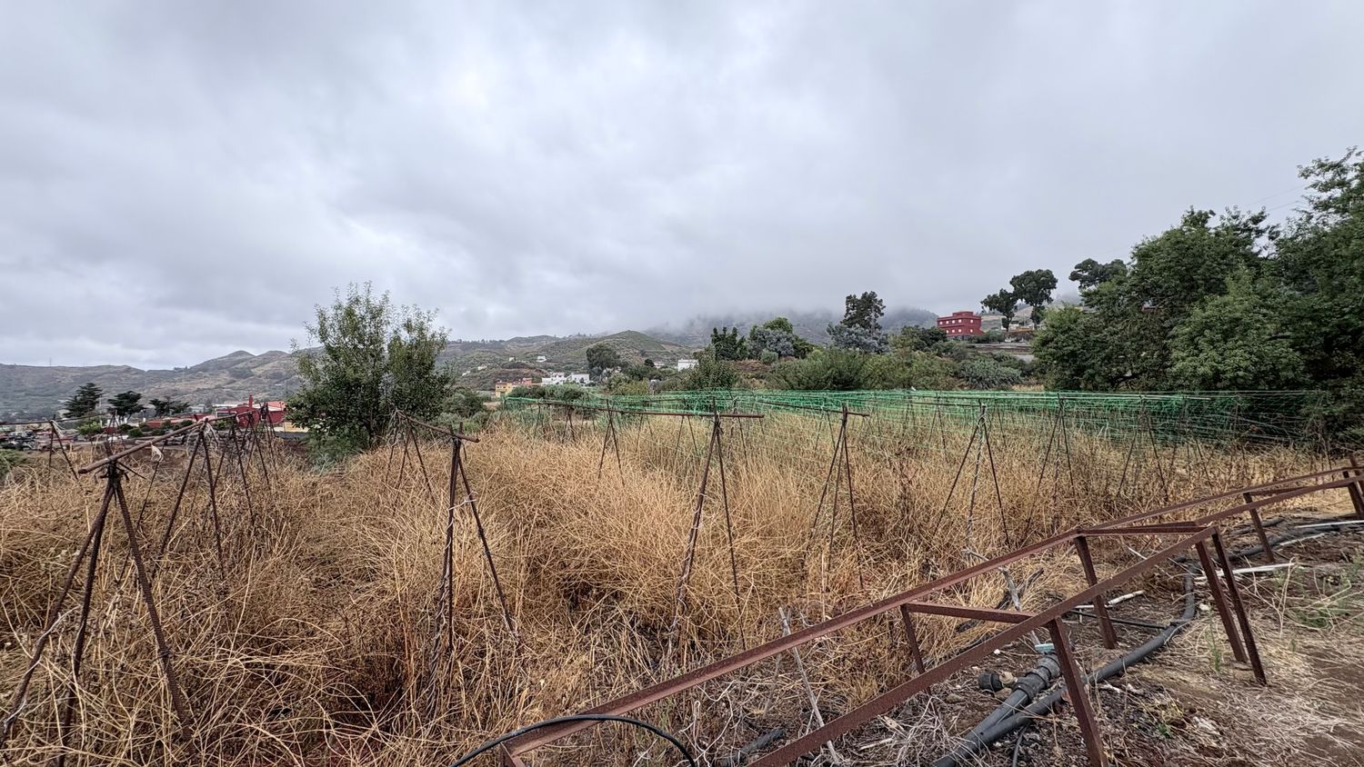 Terrenos en Vega de San Mateo — imagen 19