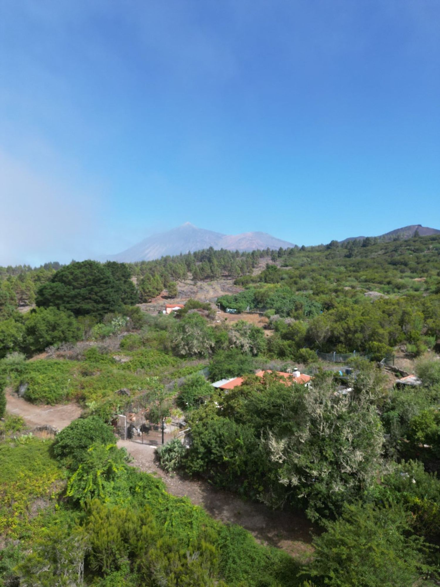 Terrenos en Tanque, El — imagen 1