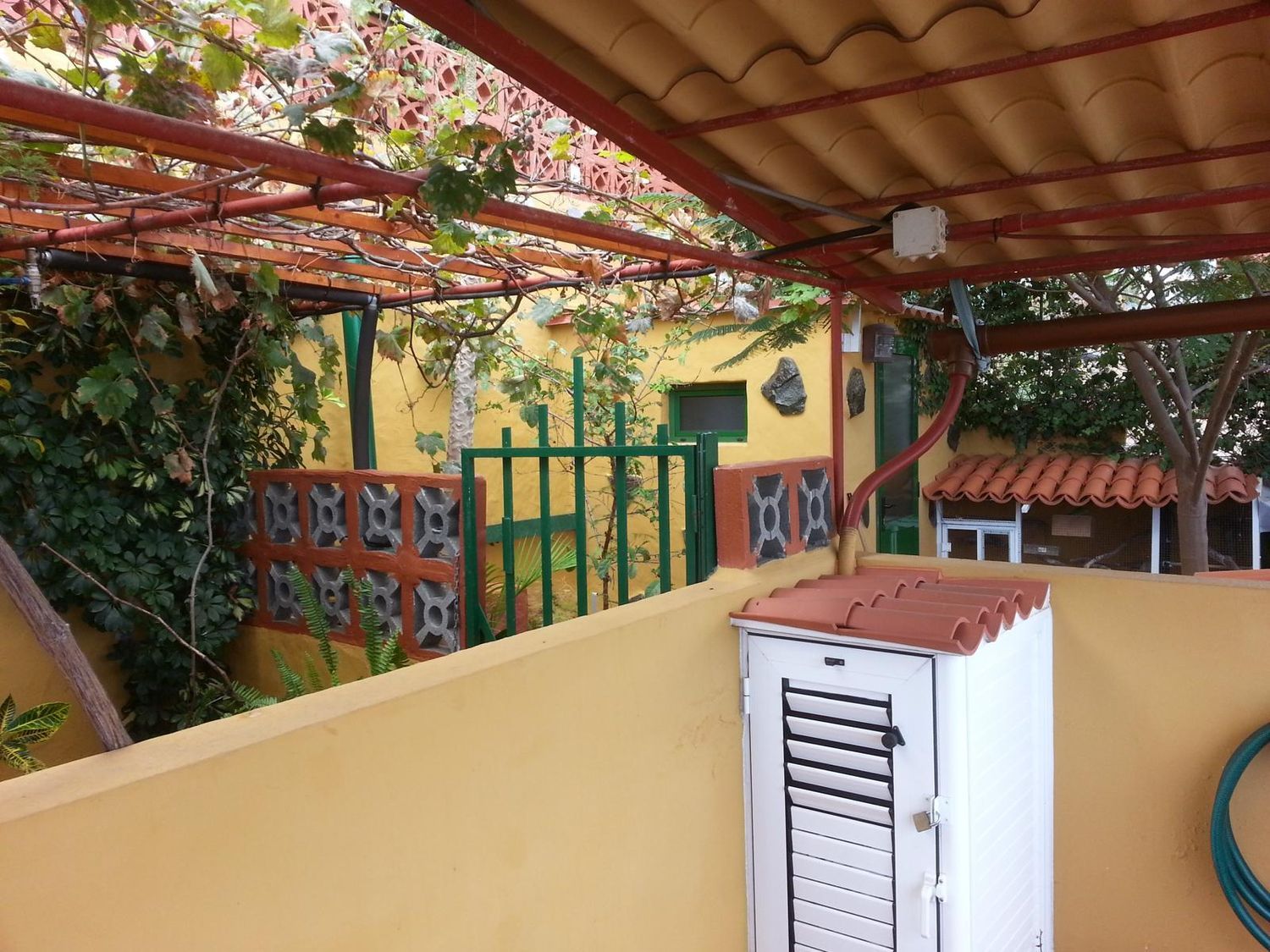 Pareados en Arucas — imagen 22