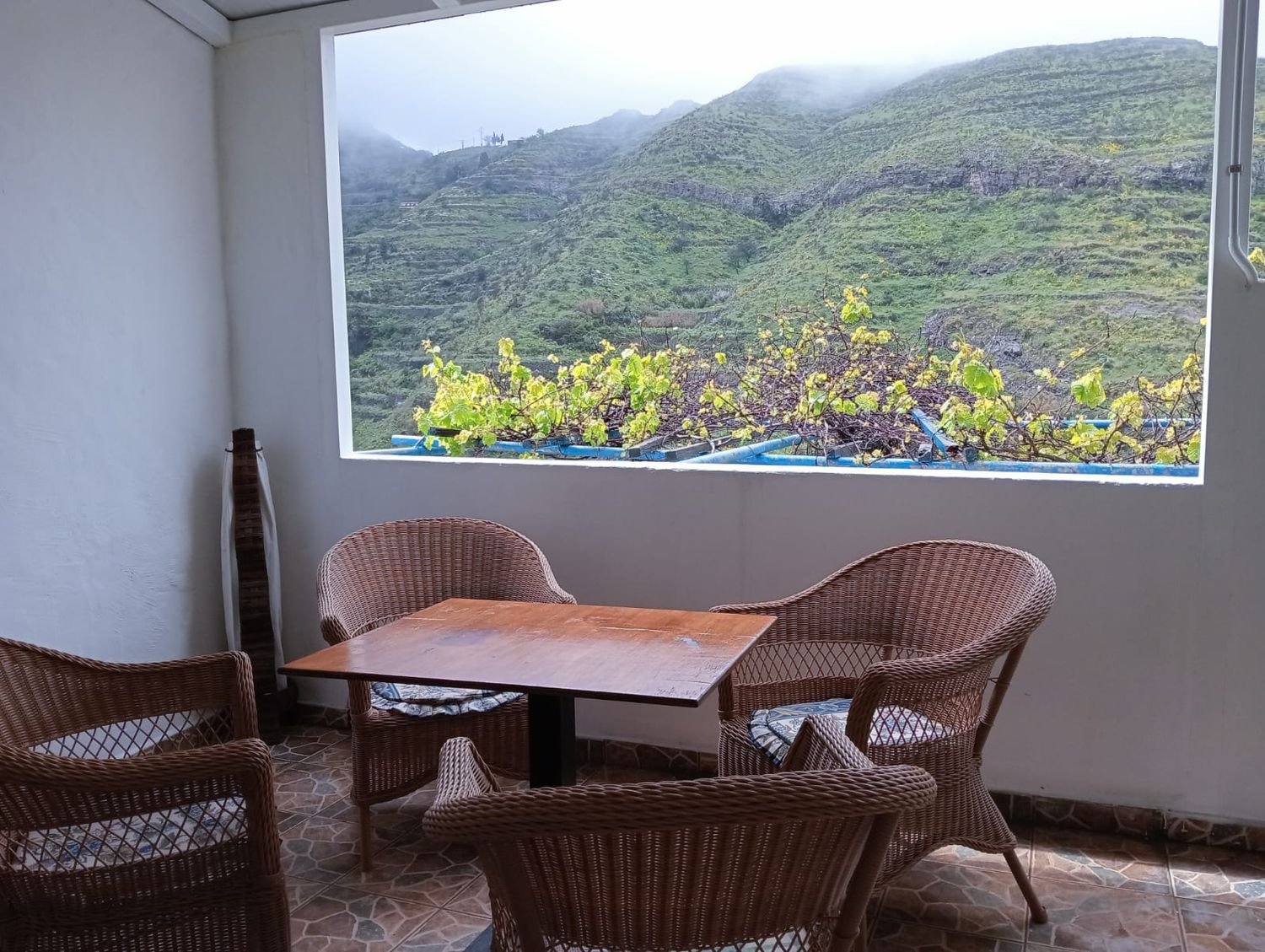 Casas rústicas en Gáldar — imagen 8
