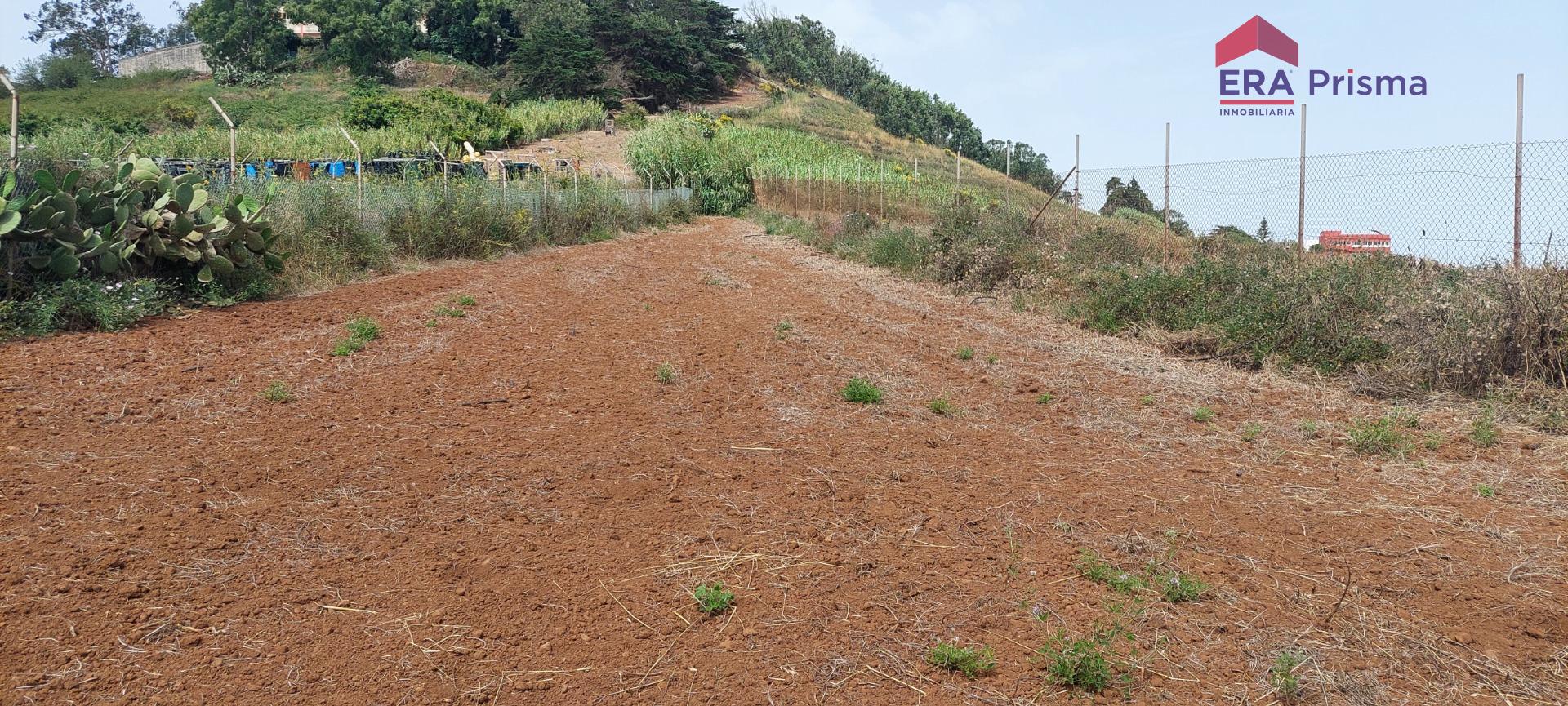 Casas rústicas en San Cristóbal de La Laguna, Los Baldíos — imagen 17