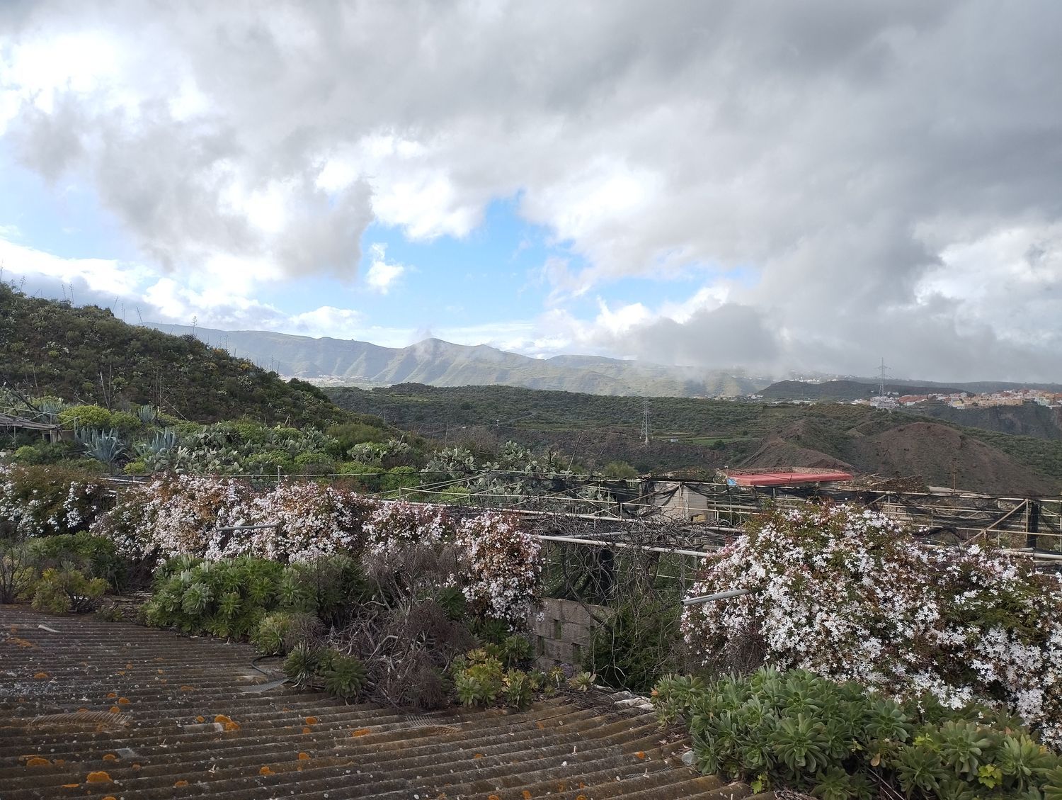 Terrenos en Telde — imagen 26