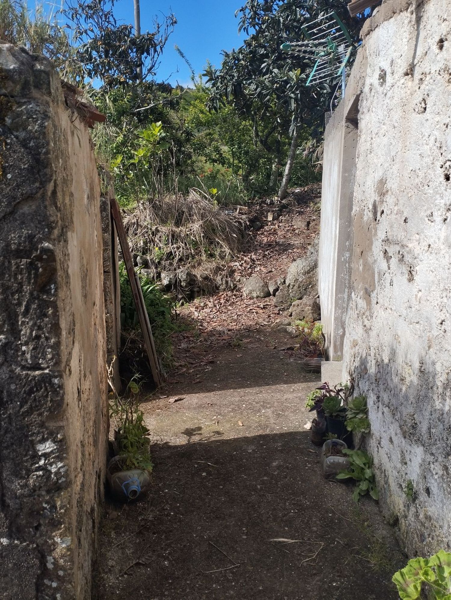 Terrenos en Moya — imagen 45