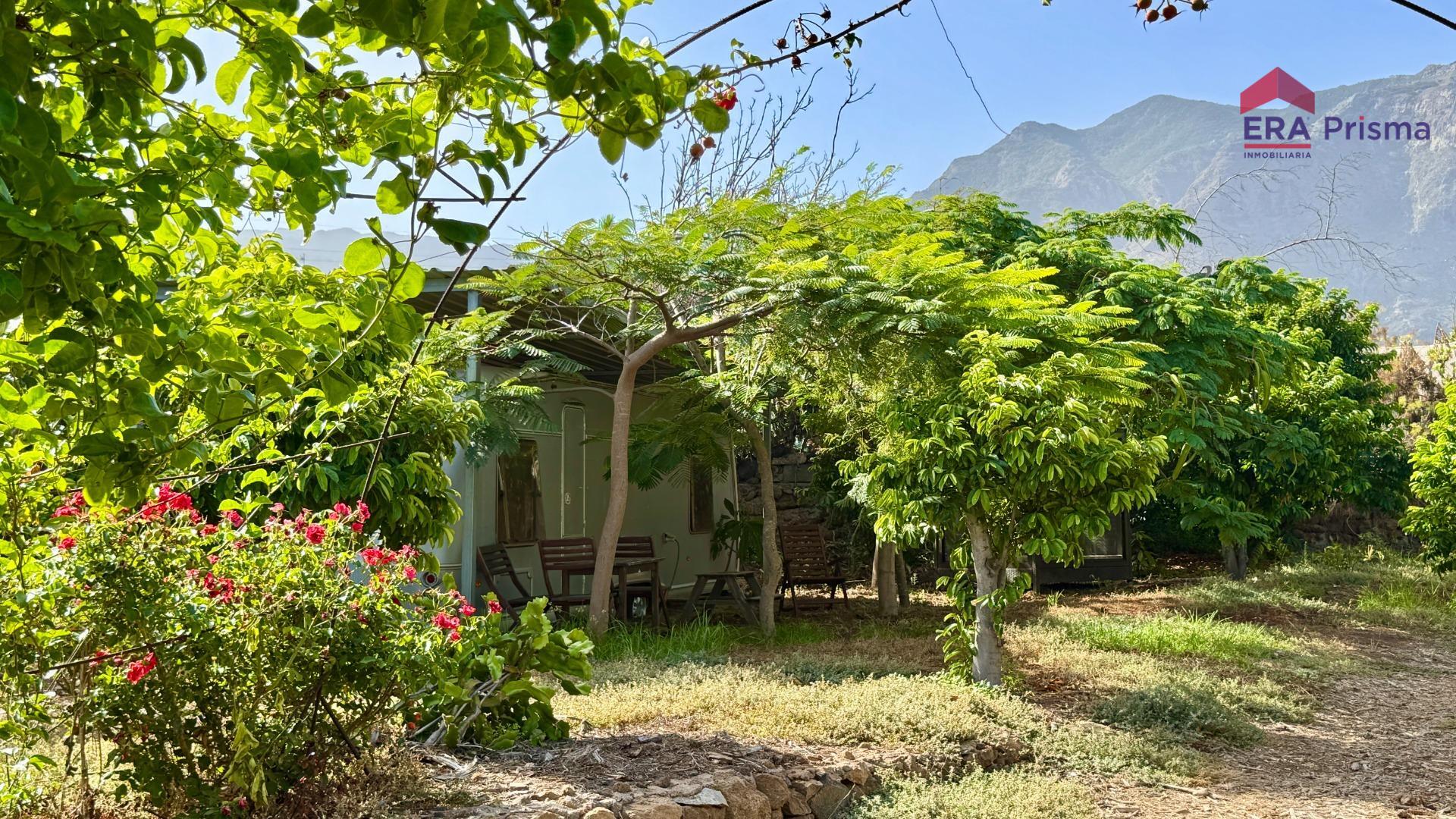 Casas rústicas en Buenavista del Norte, Buenavista del norte pueblo tenerife — imagen 7