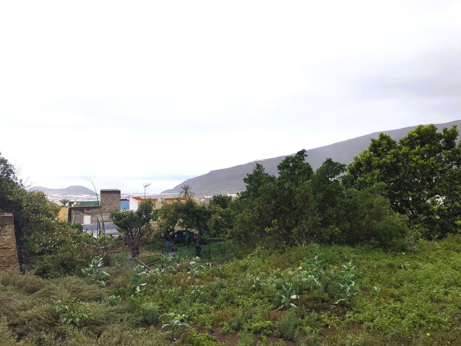 Terrenos en Güímar — imagen 14