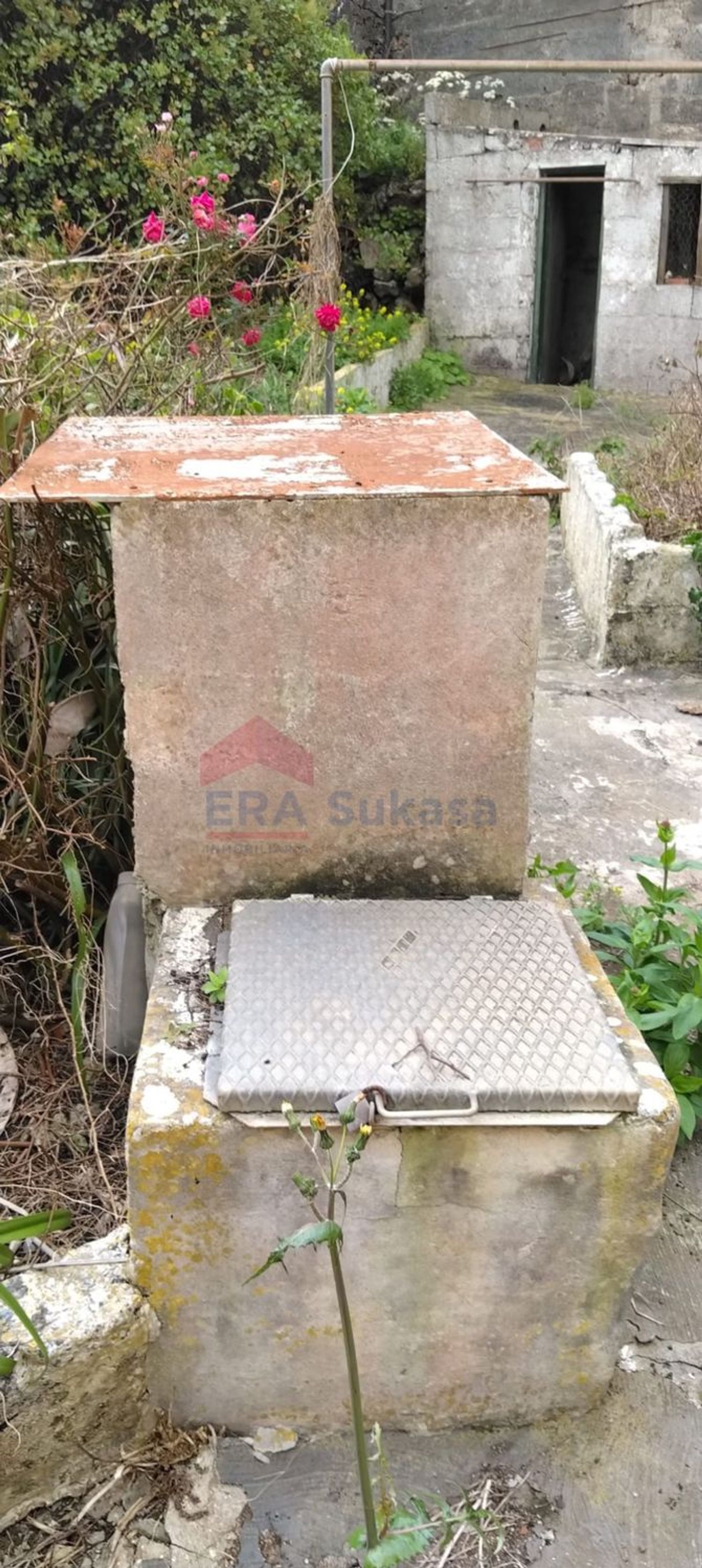 Independientes en Valverde — imagen 19