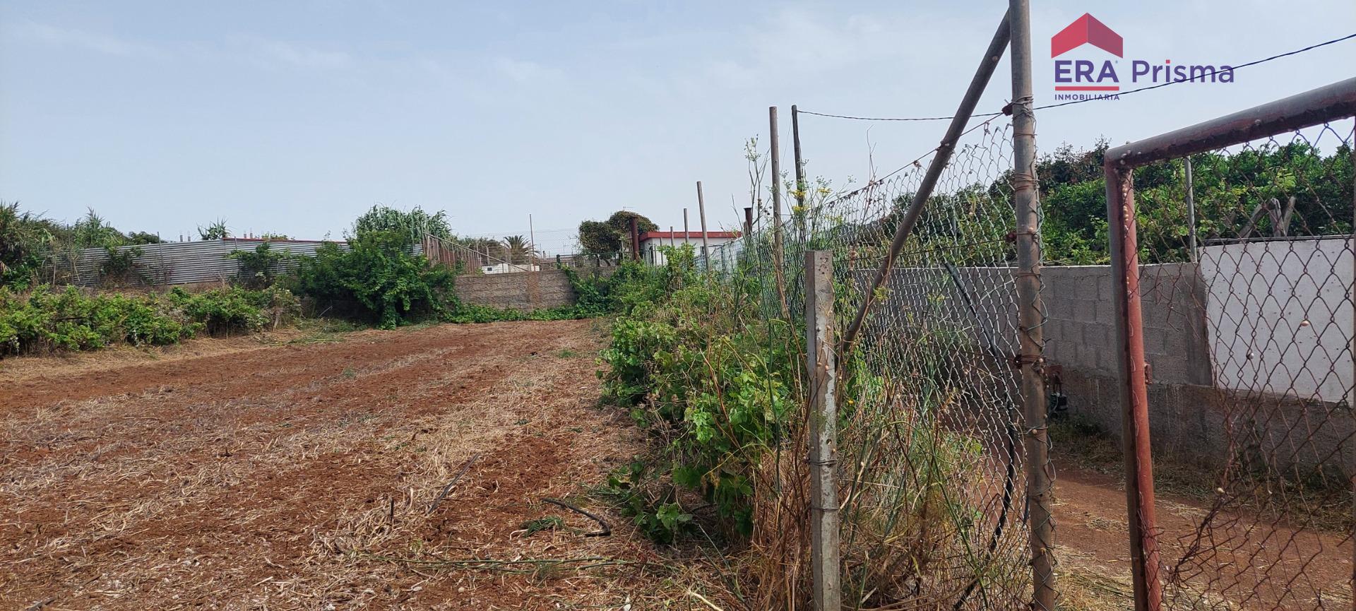 Casas rústicas en San Cristóbal de La Laguna, Los Baldíos — imagen 9