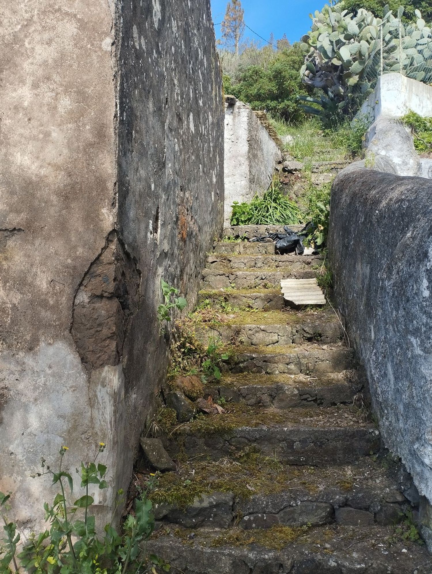 Terrenos en Moya — imagen 29
