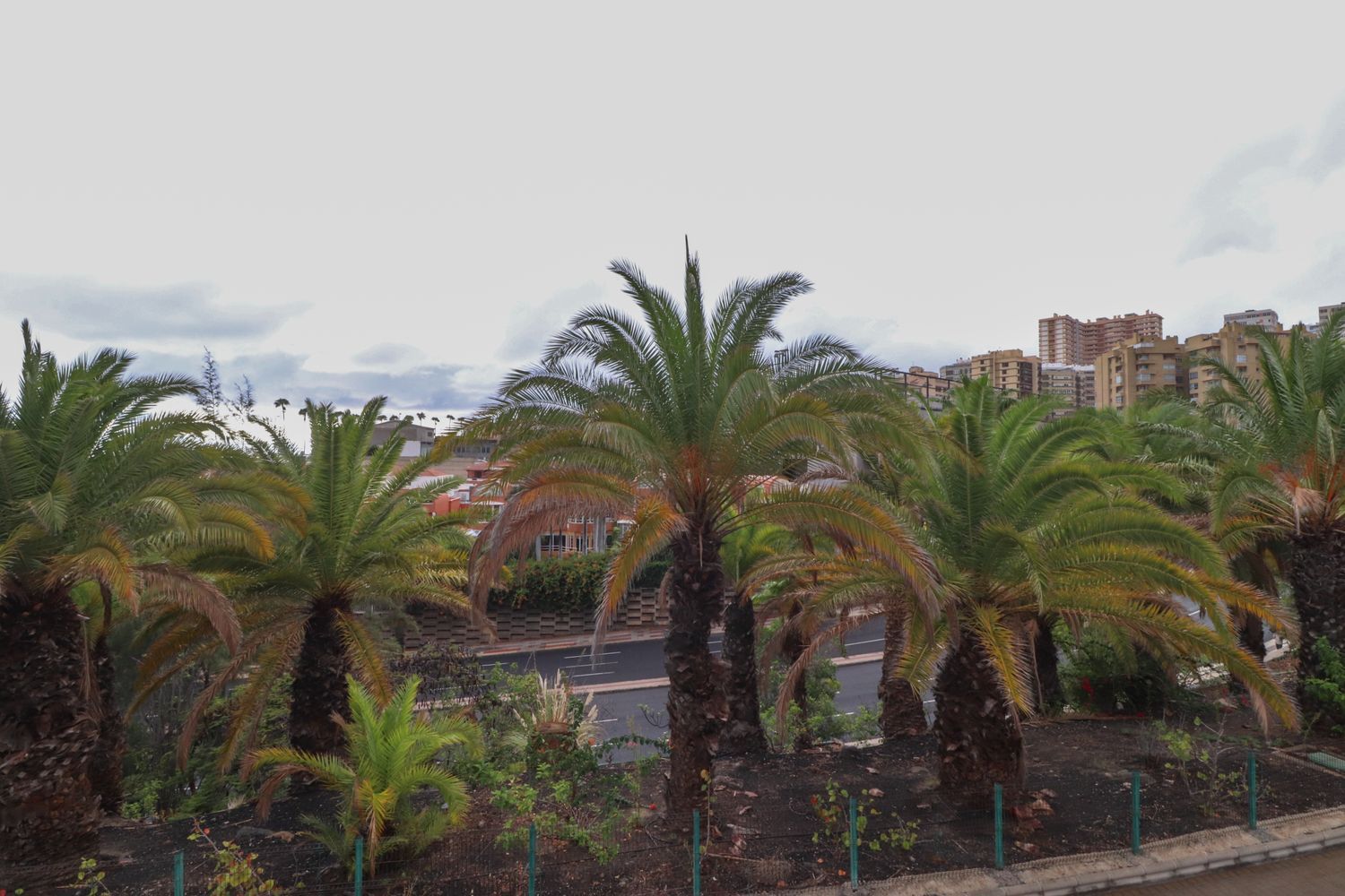 Adosados en Palmas de Gran Canaria, Las, Escaleritas - La Feria — imagen 15