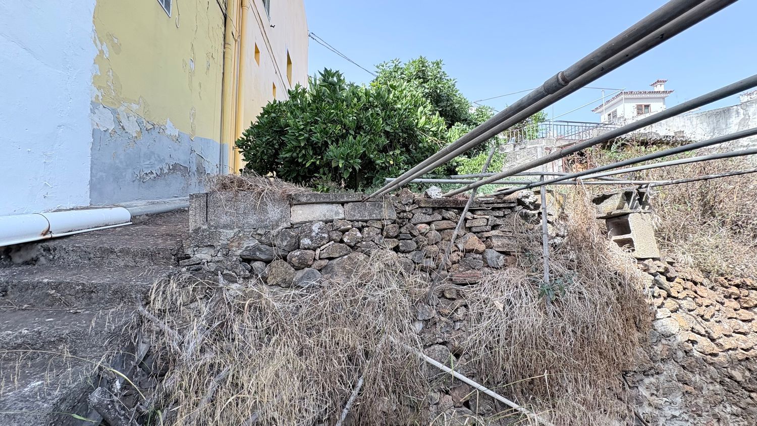 Pareados en Teror — imagen 23