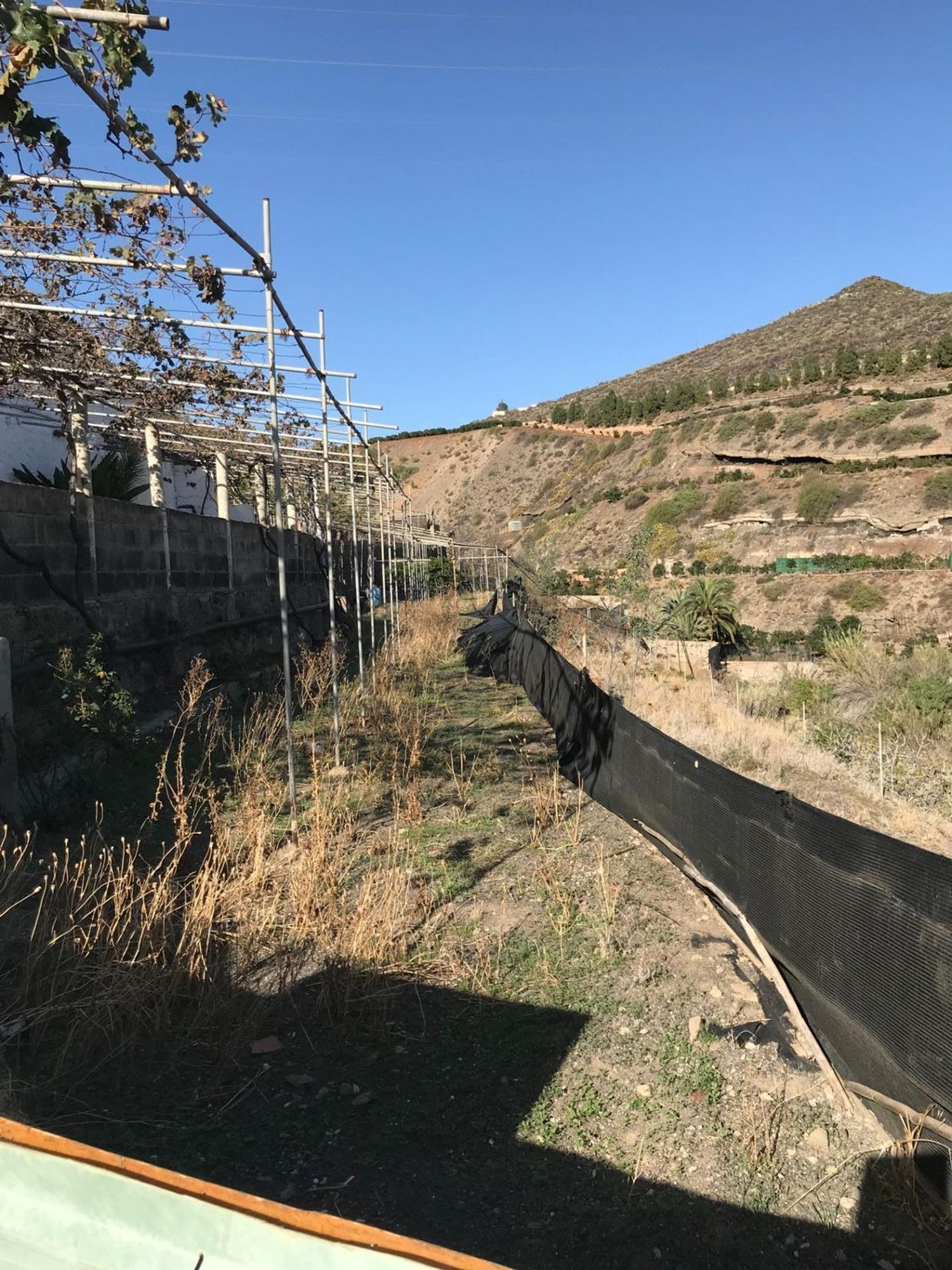 Casas rústicas en Telde — imagen 5