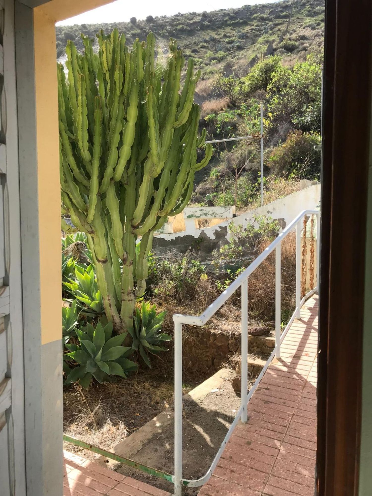 Casas rústicas en Telde — imagen 59