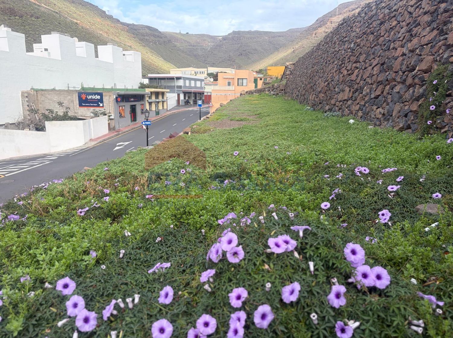 Terrenos en Alajeró — imagen 14