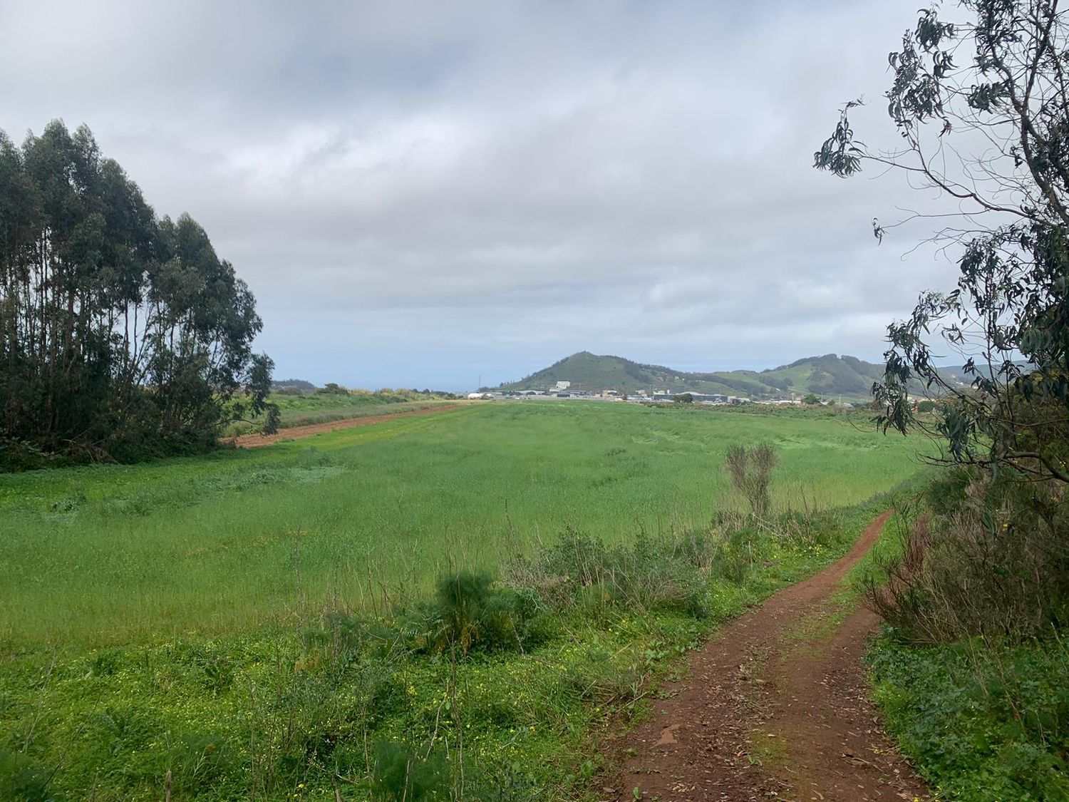 Terrenos en San Cristóbal de La Laguna, LA LAGUNA — imagen 2