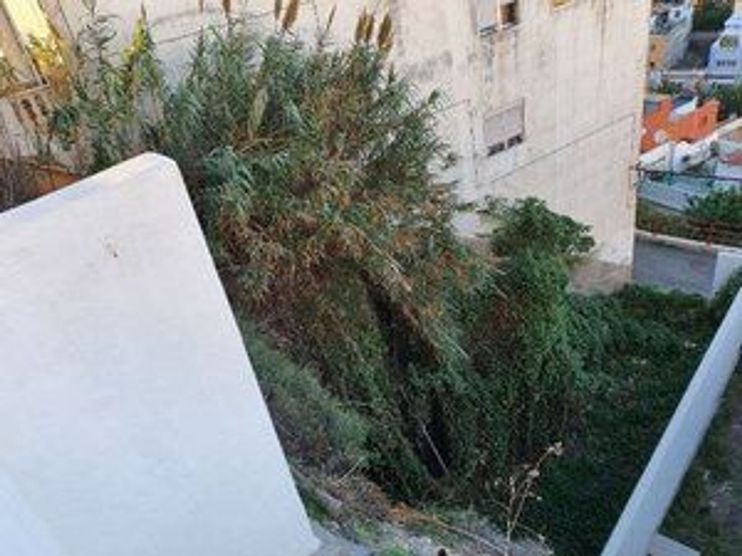 Terrenos en Palmas de Gran Canaria, Las, Altavista - Don Zoilo — imagen 3