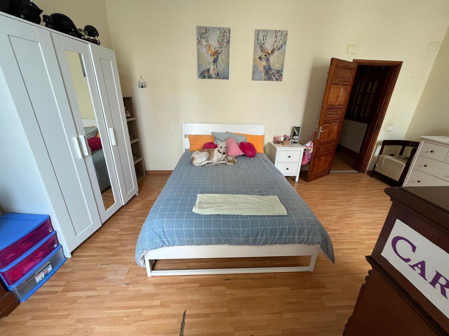 Adosados en Palmas de Gran Canaria, Las, Vegueta — imagen 47