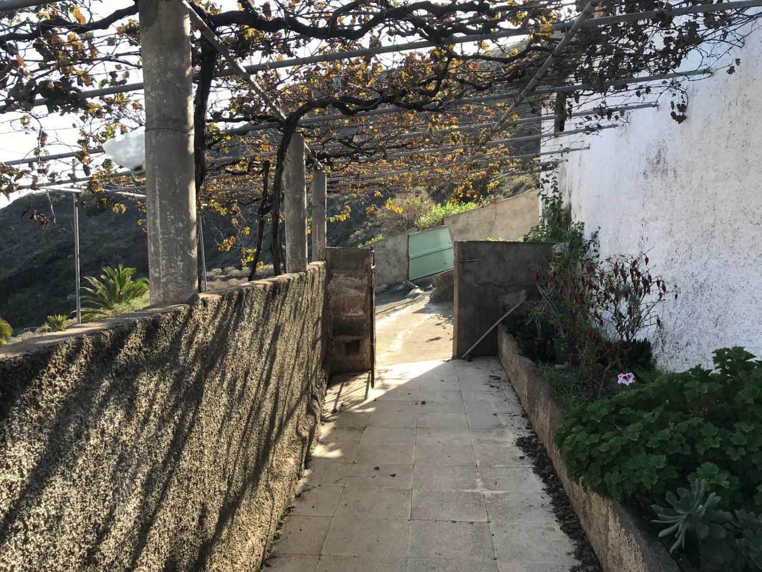 Casas rústicas en Telde — imagen 10
