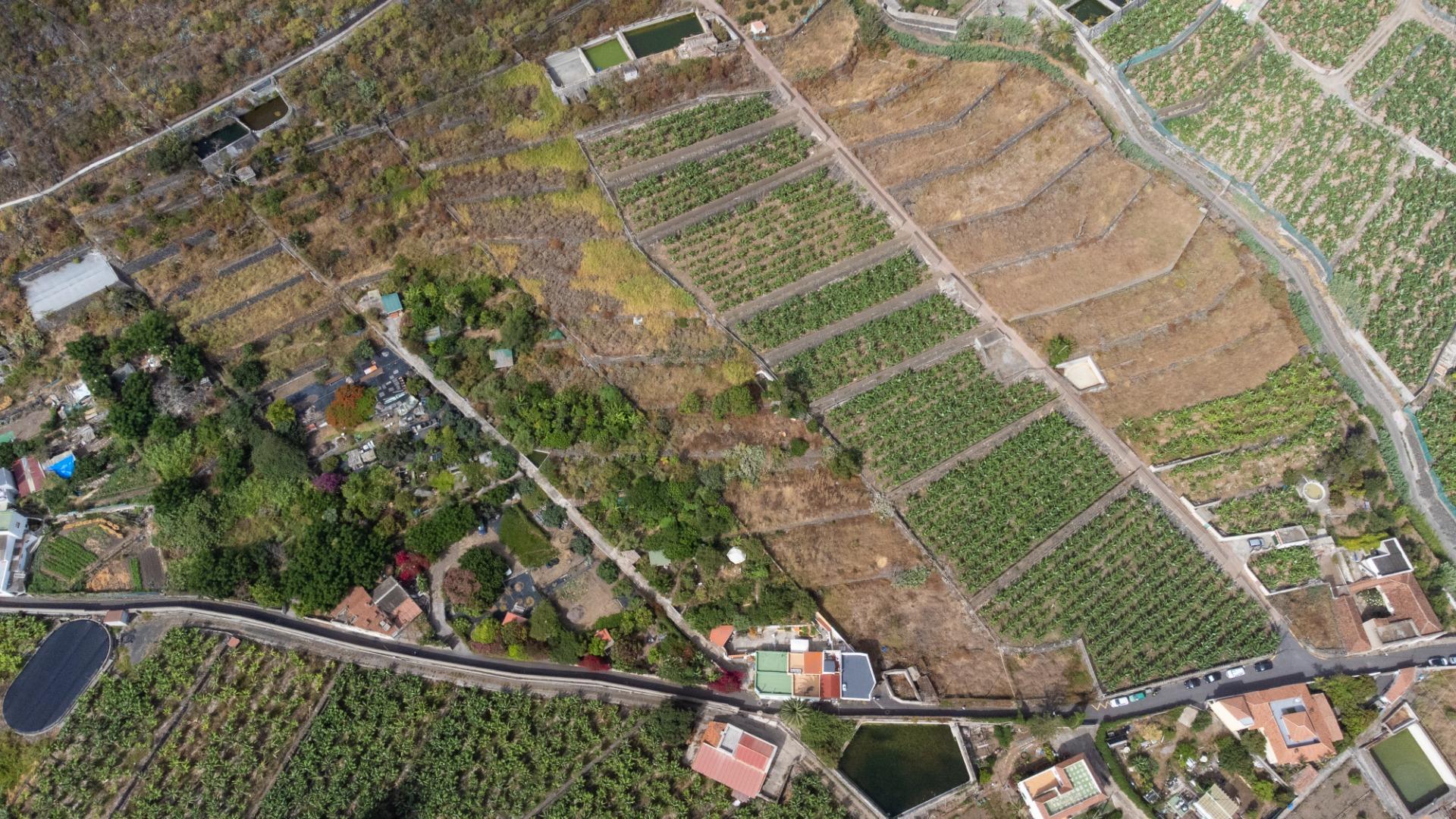 Casas rústicas en Silos, Los, Zona Centro — imagen 2