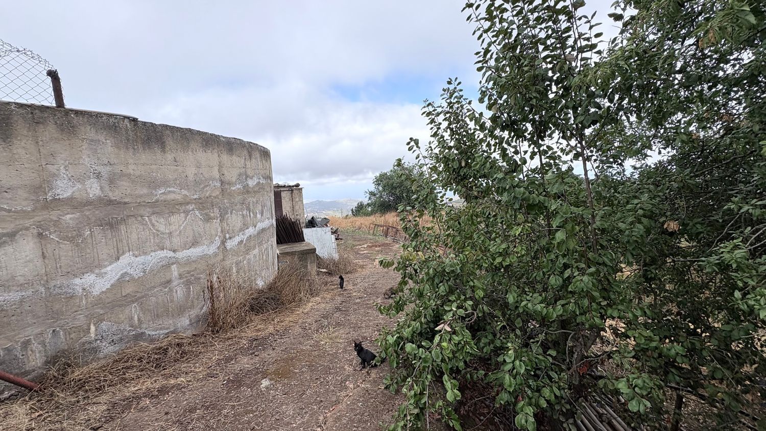 Terrenos en Vega de San Mateo — imagen 20
