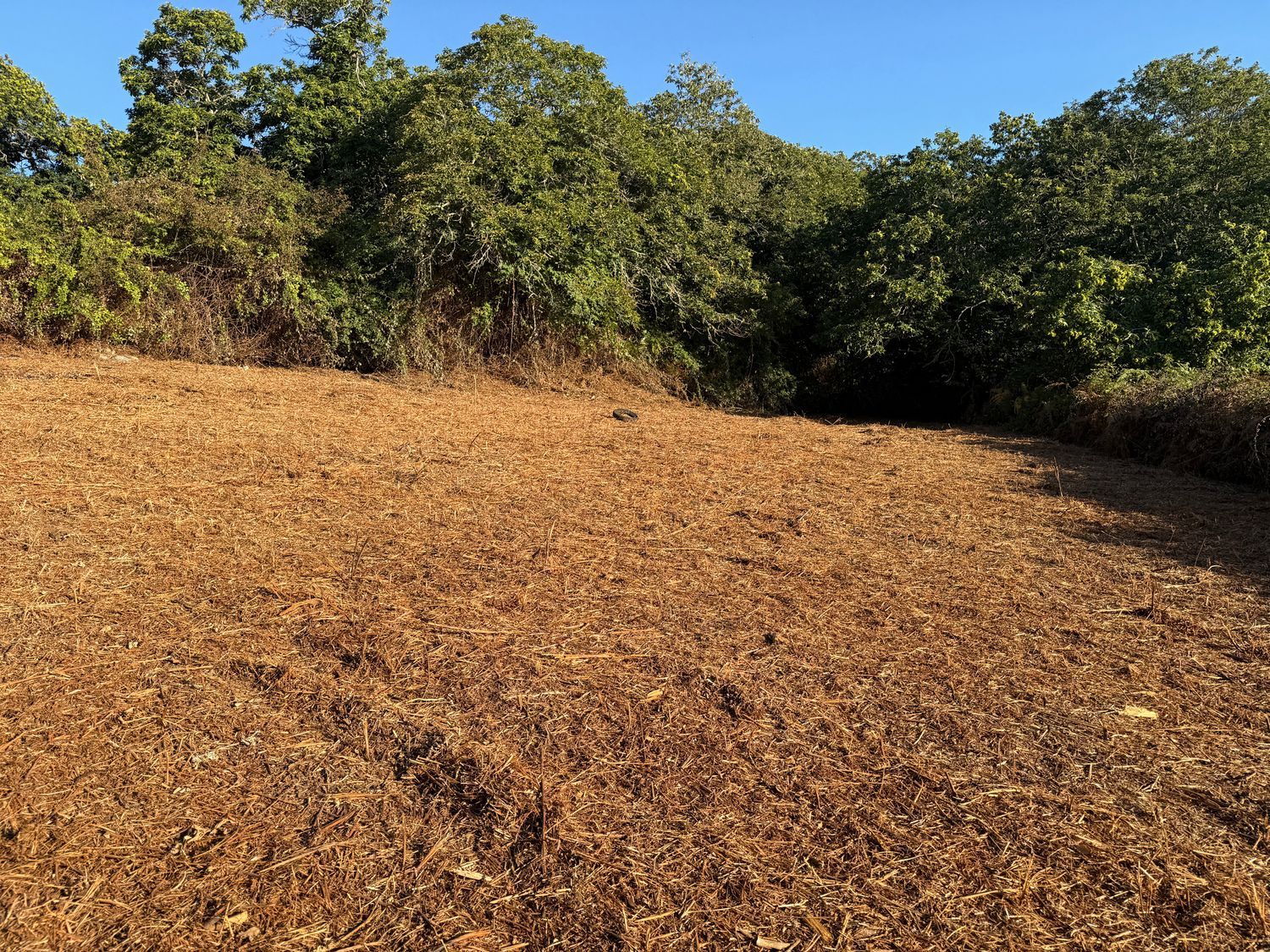 Terrenos en Matanza de Acentejo, La — imagen 21