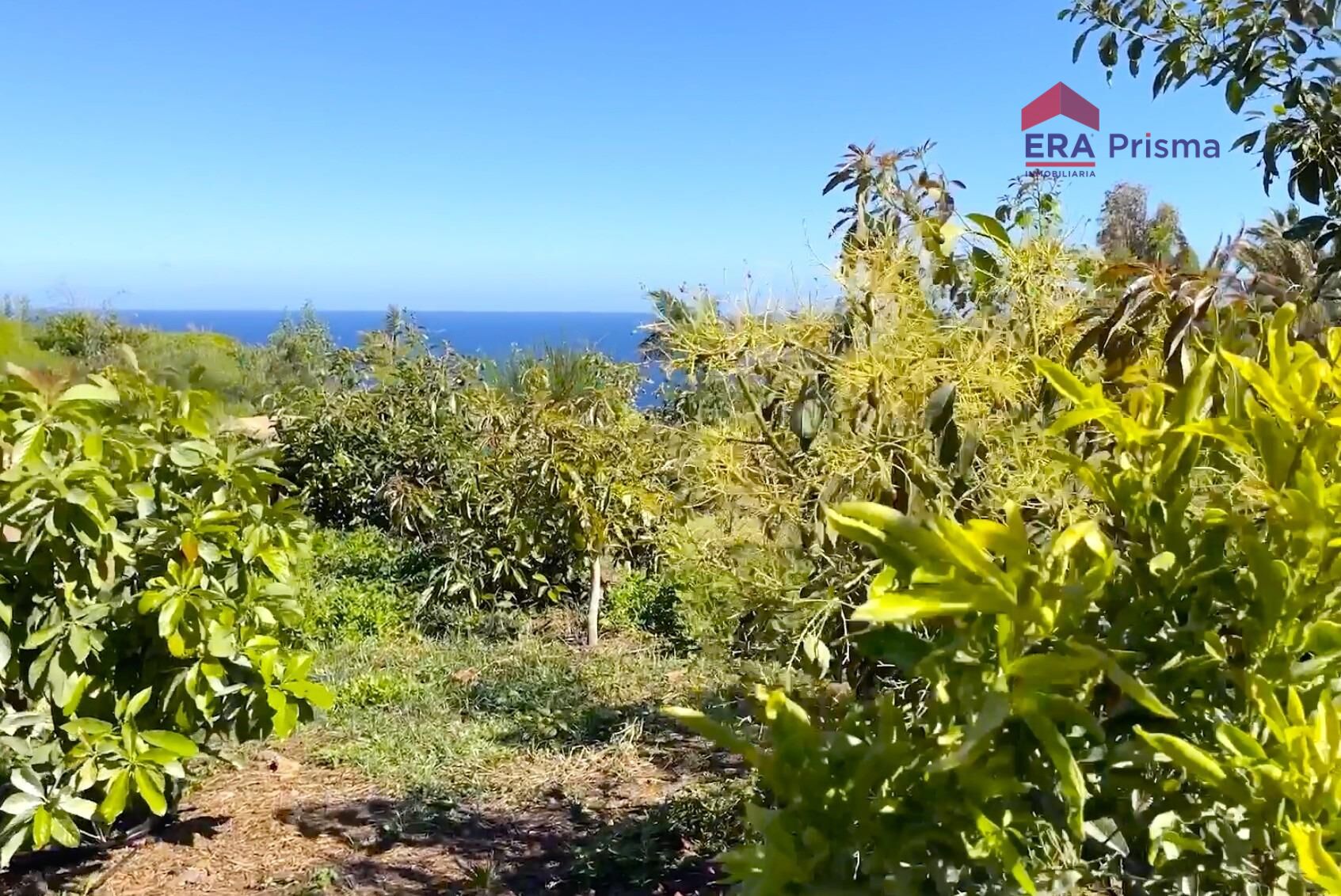 Casas rústicas en Buenavista del Norte, Buenavista del norte pueblo tenerife — imagen 20