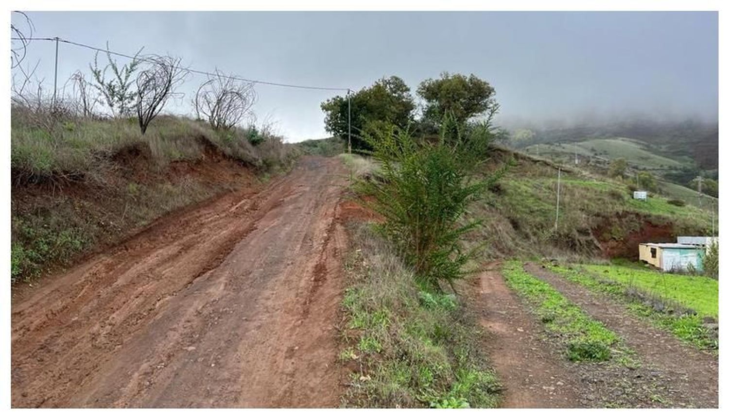 Terrenos en Moya — imagen 15