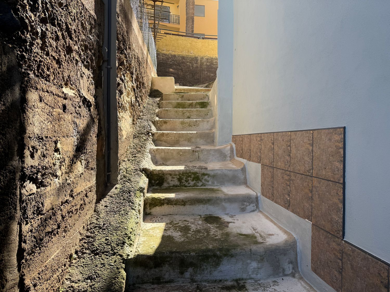 Dúplex en Victoria de Acentejo, La — imagen 7