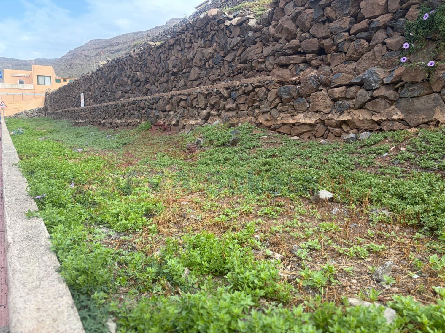Terrenos en Alajeró — imagen 15