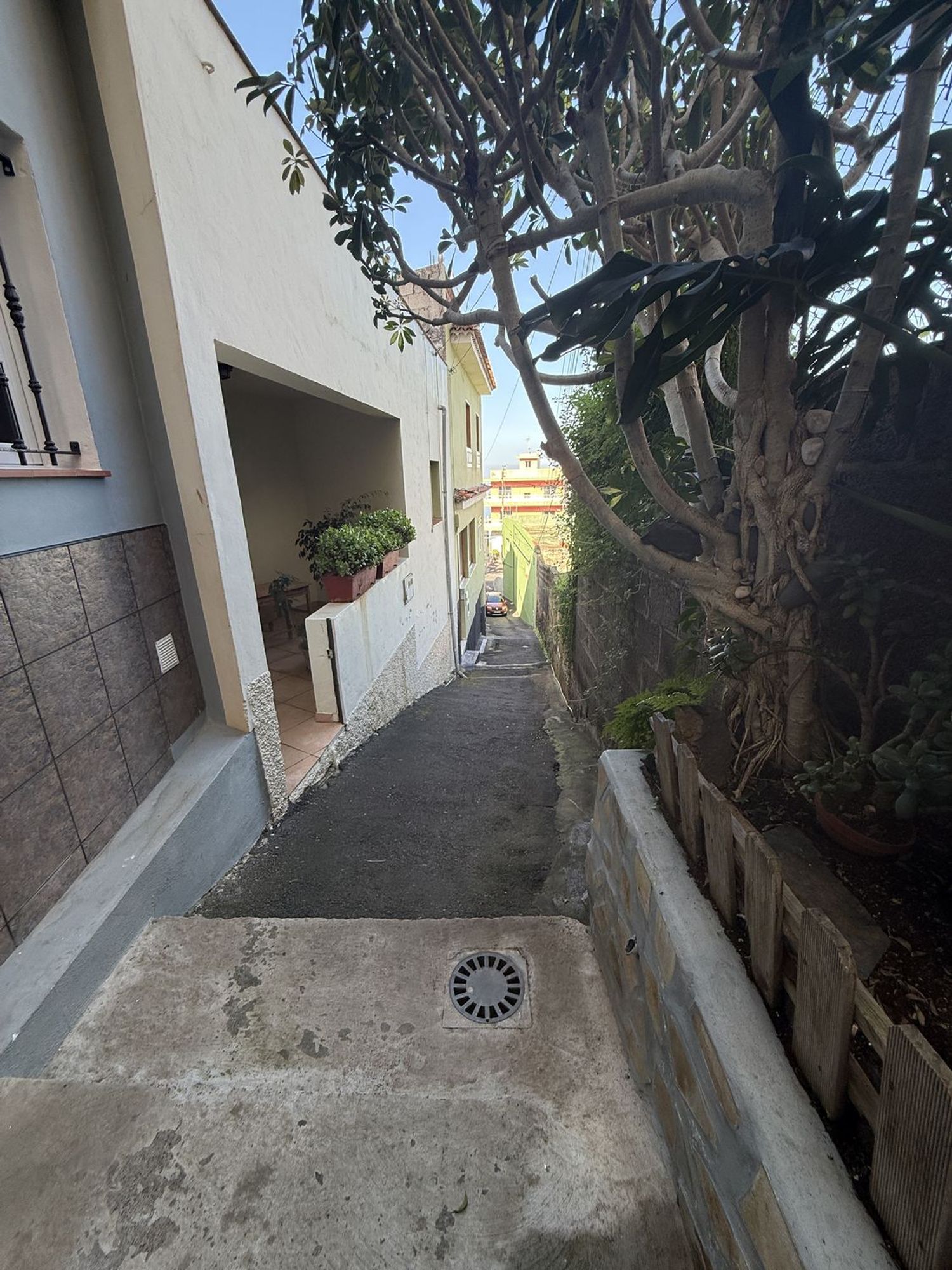 Dúplex en Victoria de Acentejo, La — imagen 8