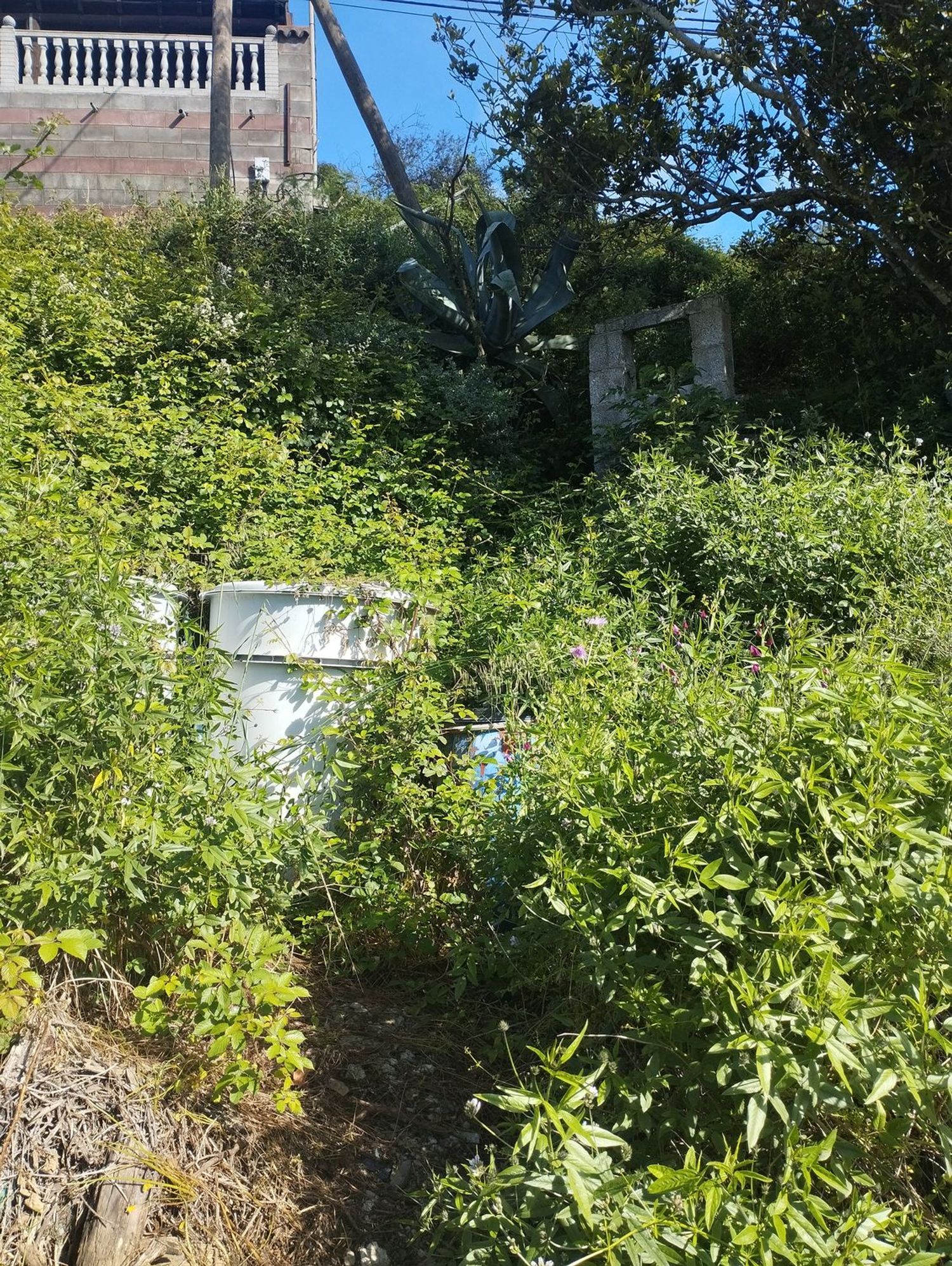 Terrenos en Moya — imagen 57