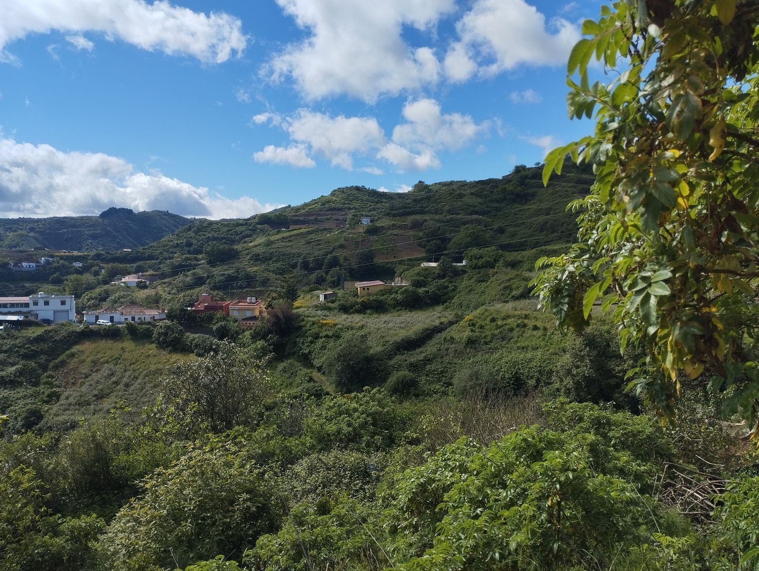 Terrenos en Moya — imagen 38