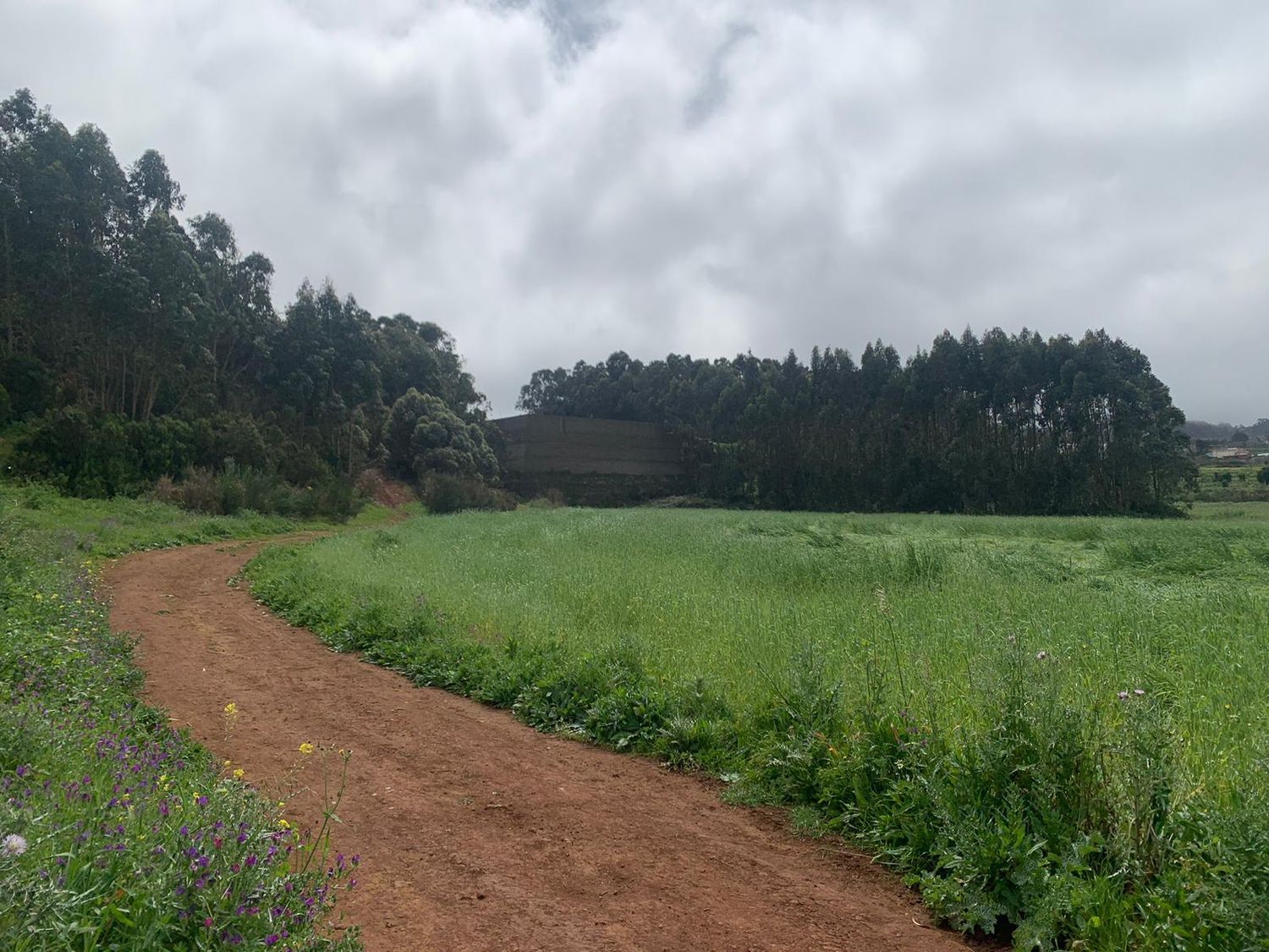 Terrenos en San Cristóbal de La Laguna, LA LAGUNA — imagen 11
