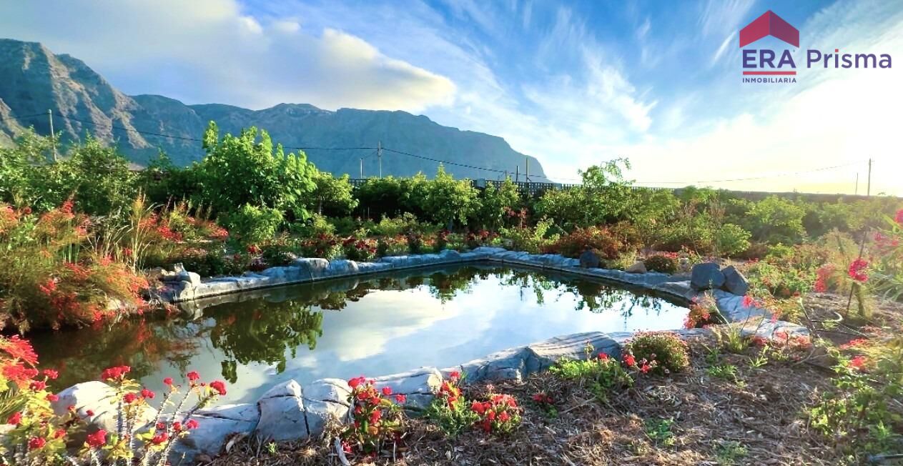 Casas rústicas en Buenavista del Norte, Buenavista del norte pueblo tenerife — imagen 4