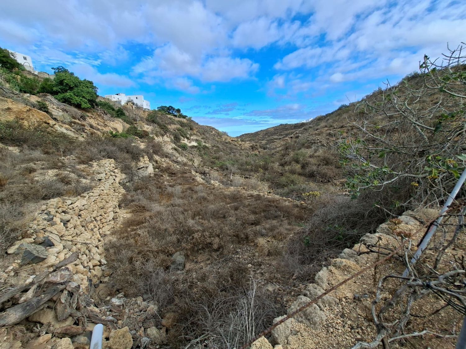 Terrenos en Arico — imagen 2