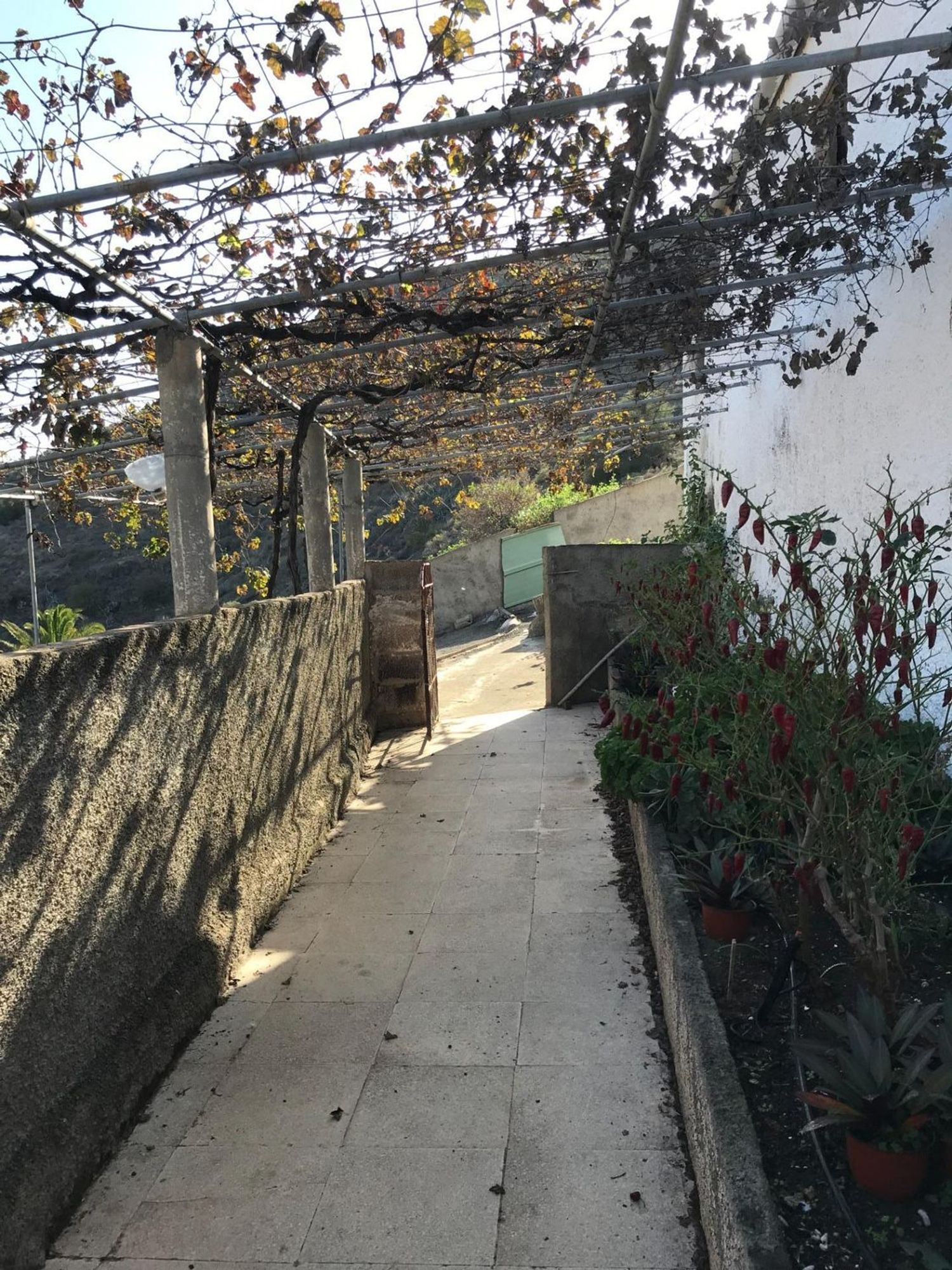 Casas rústicas en Telde — imagen 7