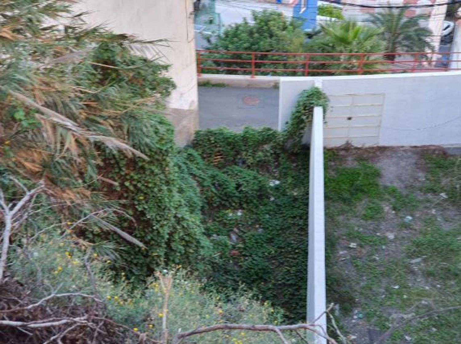Terrenos en Palmas de Gran Canaria, Las, Altavista - Don Zoilo — imagen 2