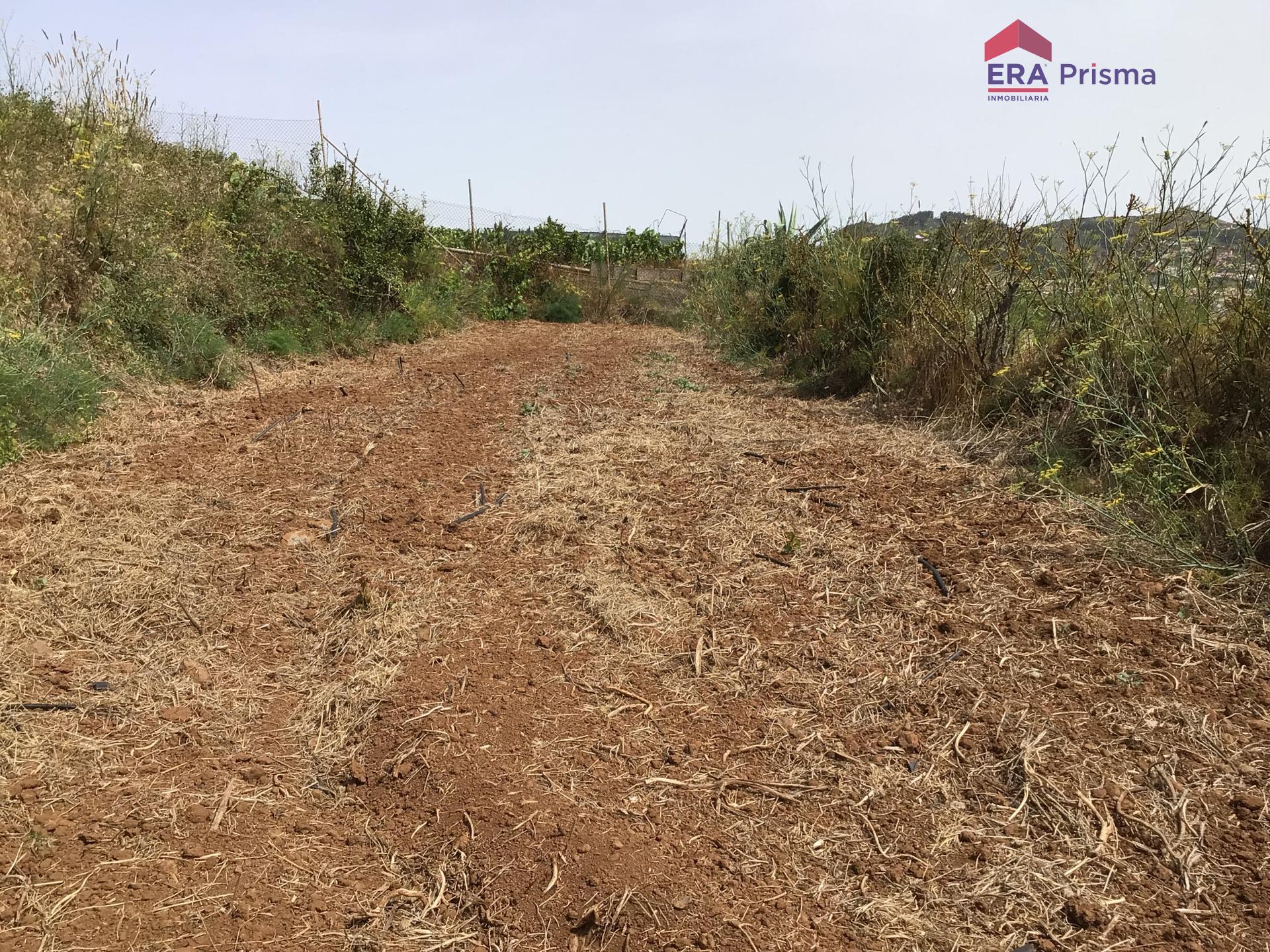 Casas rústicas en San Cristóbal de La Laguna, Los Baldíos — imagen 13
